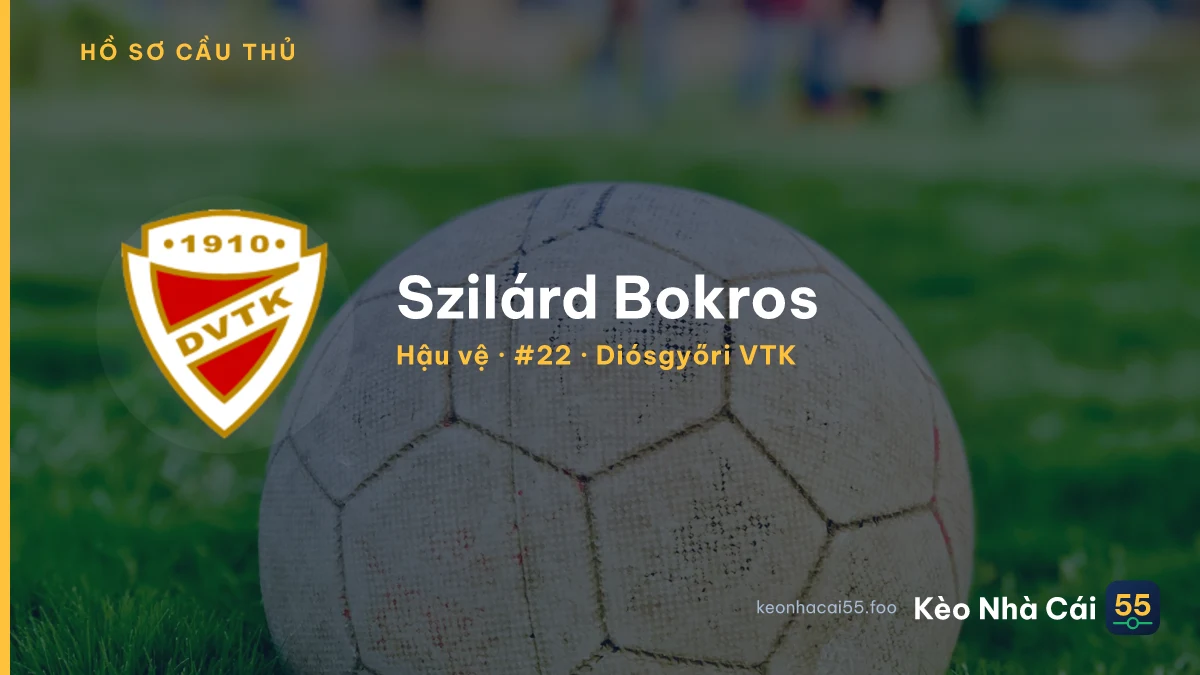 Szilárd Bokros — Diósgyőri VTK