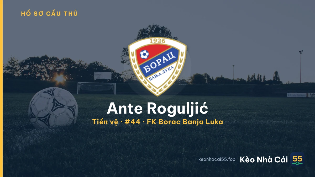 Ante Roguljić — FK Borac Banja Luka