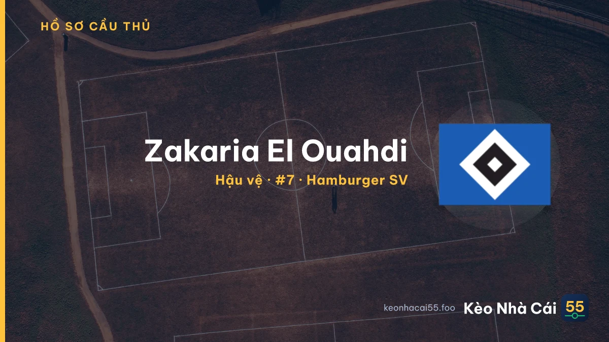 Zakaria El Ouahdi — Hamburger SV
