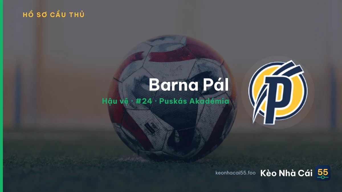 Barna Pál — Puskás Akadémia