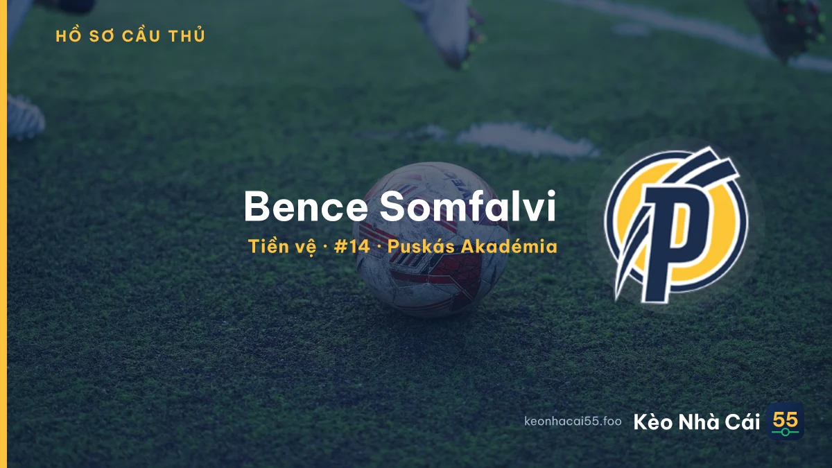 Bence Somfalvi — Puskás Akadémia