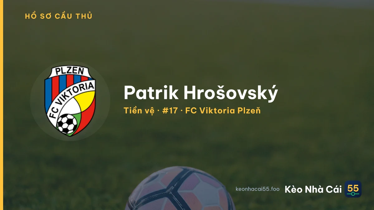 Patrik Hrošovský — FC Viktoria Plzeň