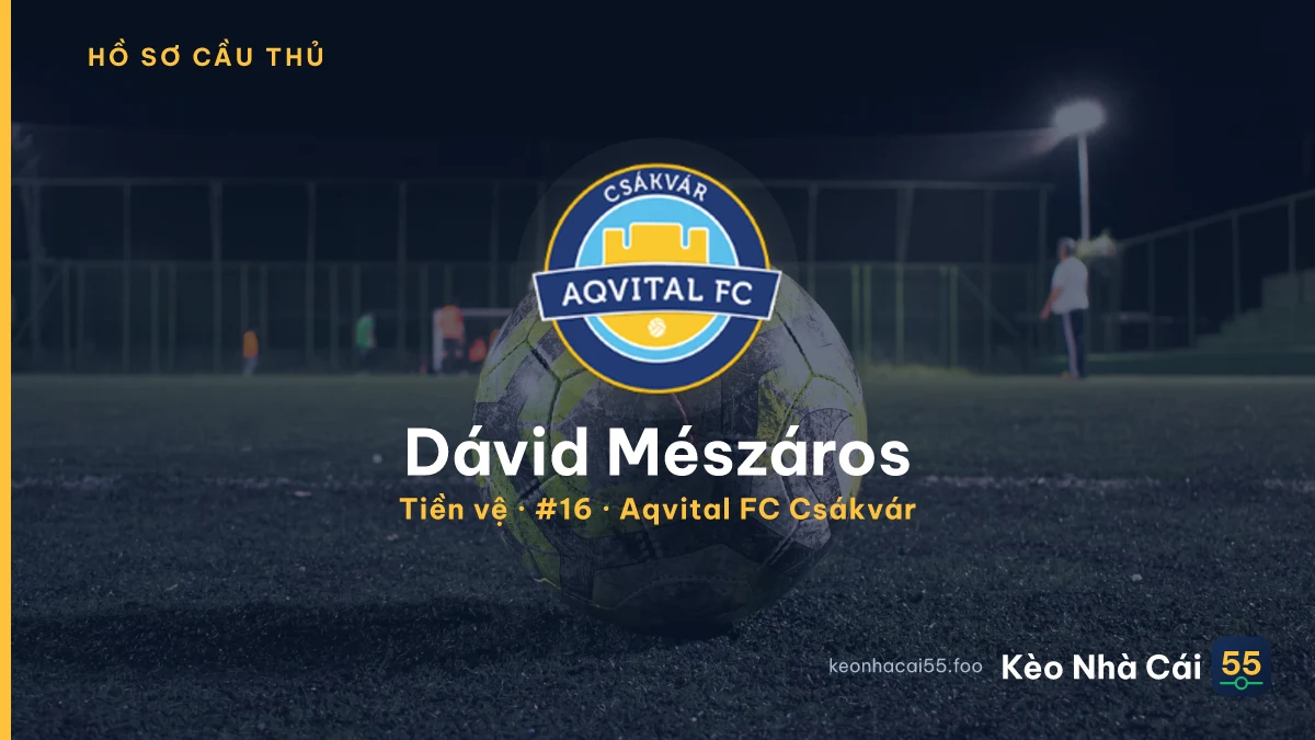 Dávid Mészáros — Aqvital FC Csákvár