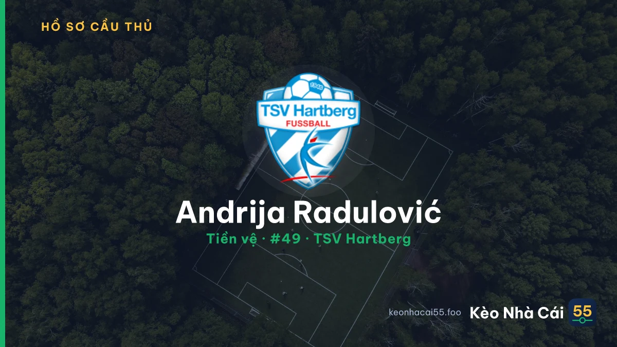 Andrija Radulović — TSV Hartberg