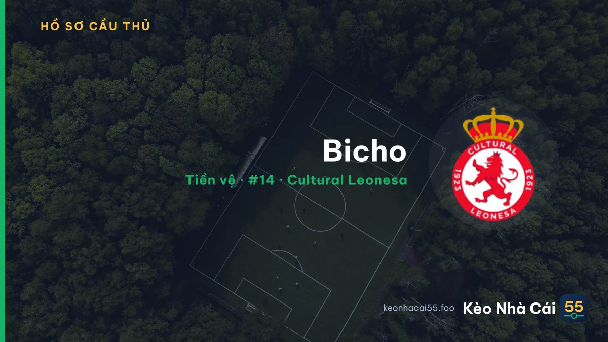 Bicho — Cultural Leonesa