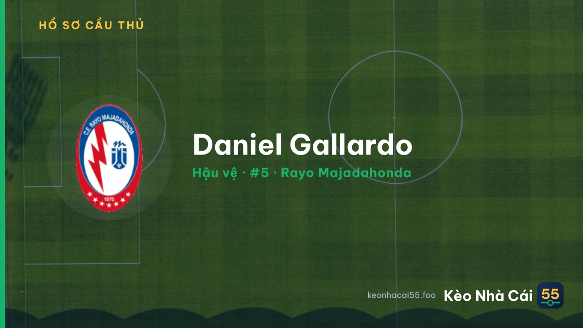 Daniel Gallardo — Rayo Majadahonda