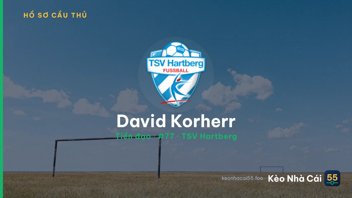 David Korherr — TSV Hartberg
