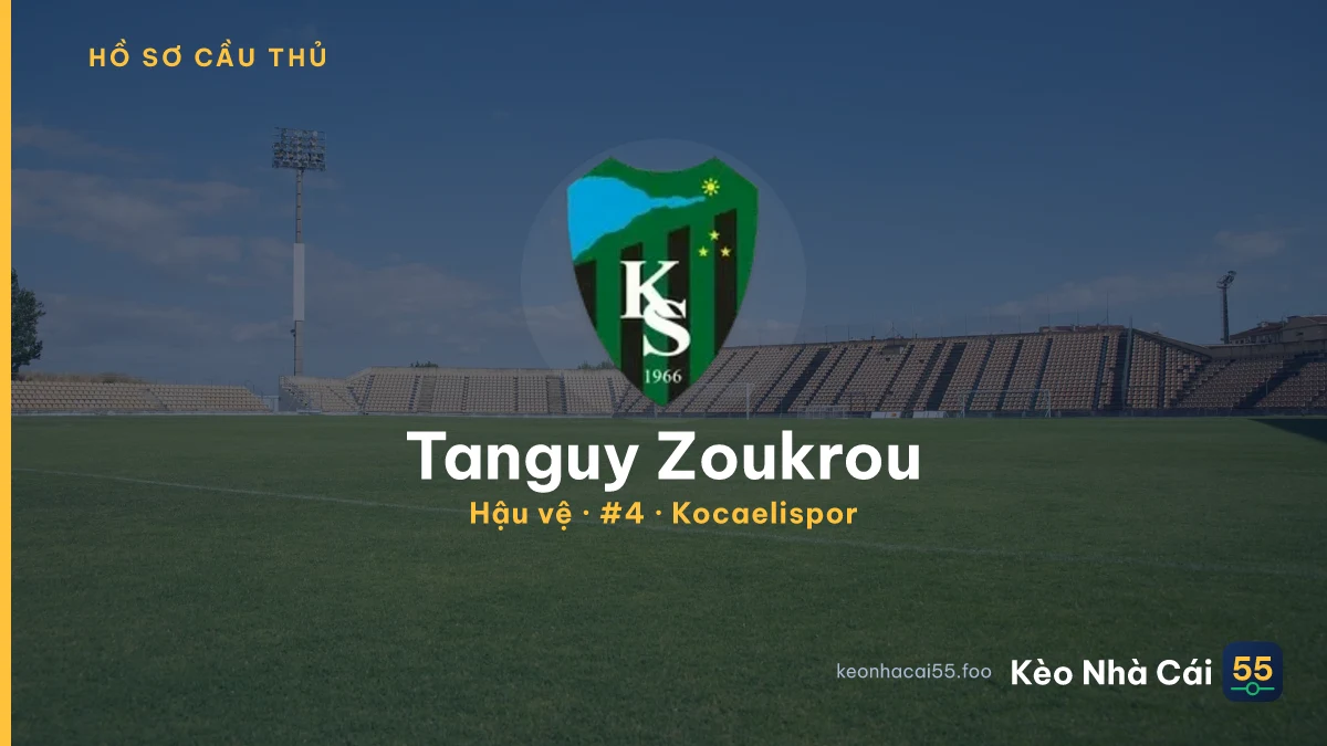 Tanguy Zoukrou — Kocaelispor