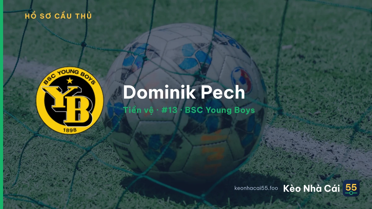 Dominik Pech — BSC Young Boys