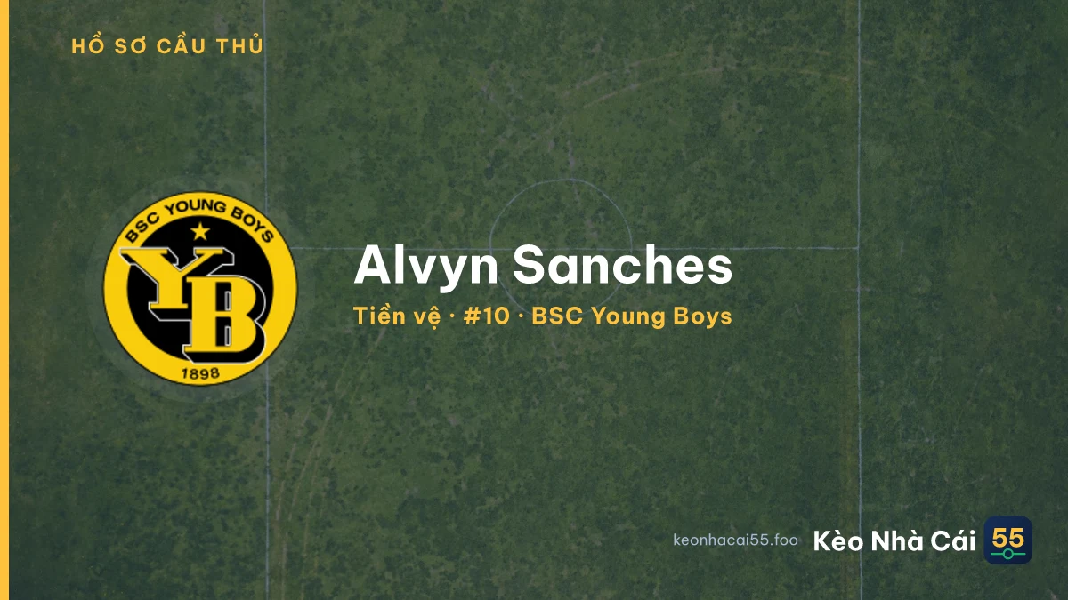Alvyn Sanches — BSC Young Boys