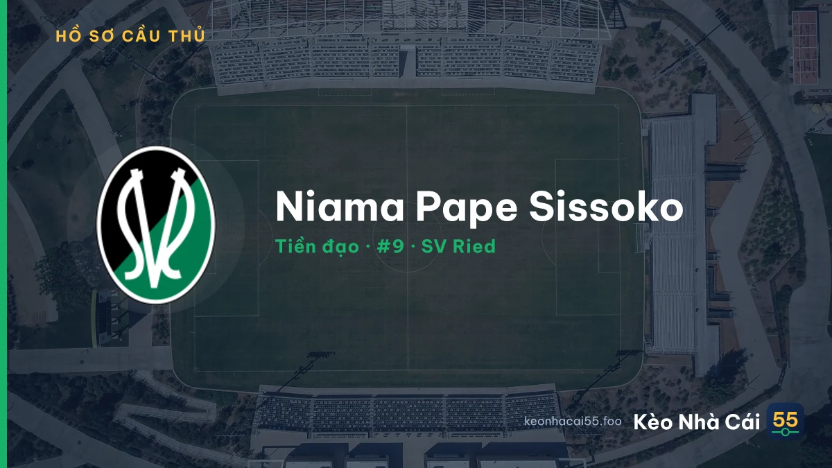 Niama Pape Sissoko — SV Ried