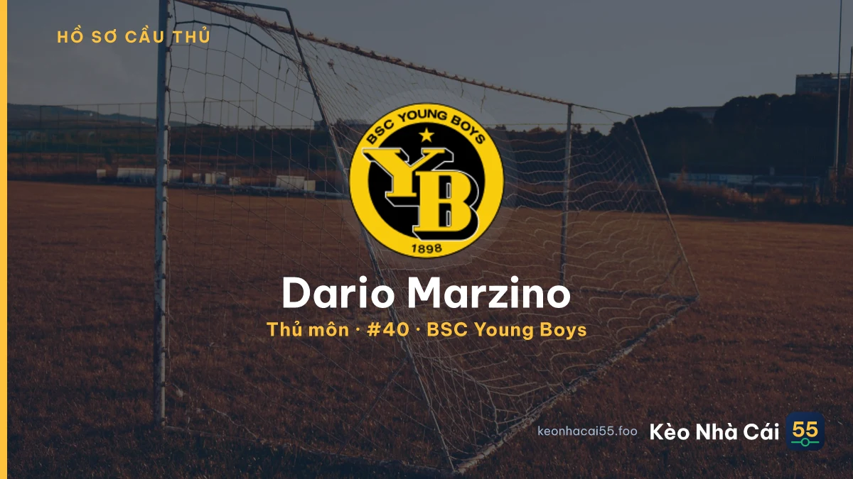 Dario Marzino — BSC Young Boys