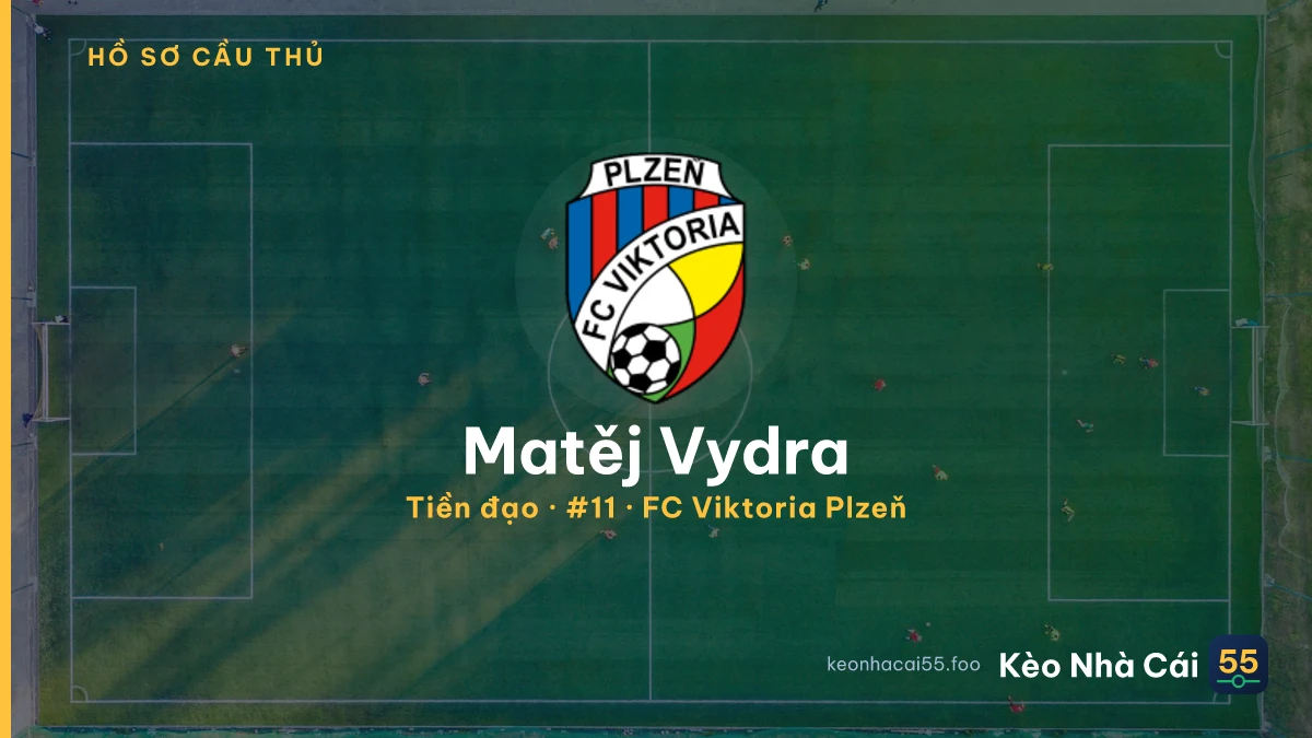 Matěj Vydra — FC Viktoria Plzeň