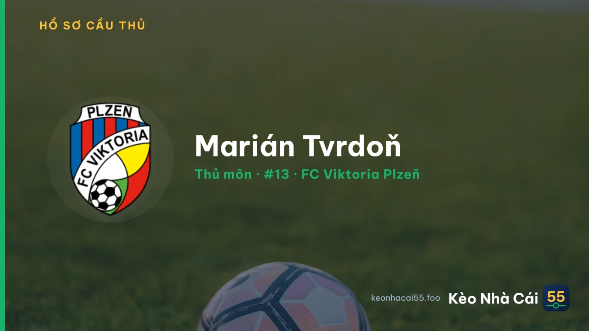 Marián Tvrdoň — FC Viktoria Plzeň
