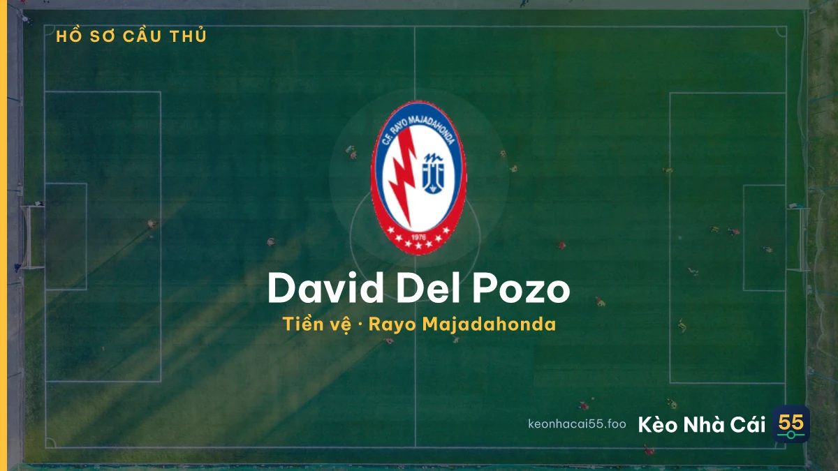 David Del Pozo — Rayo Majadahonda