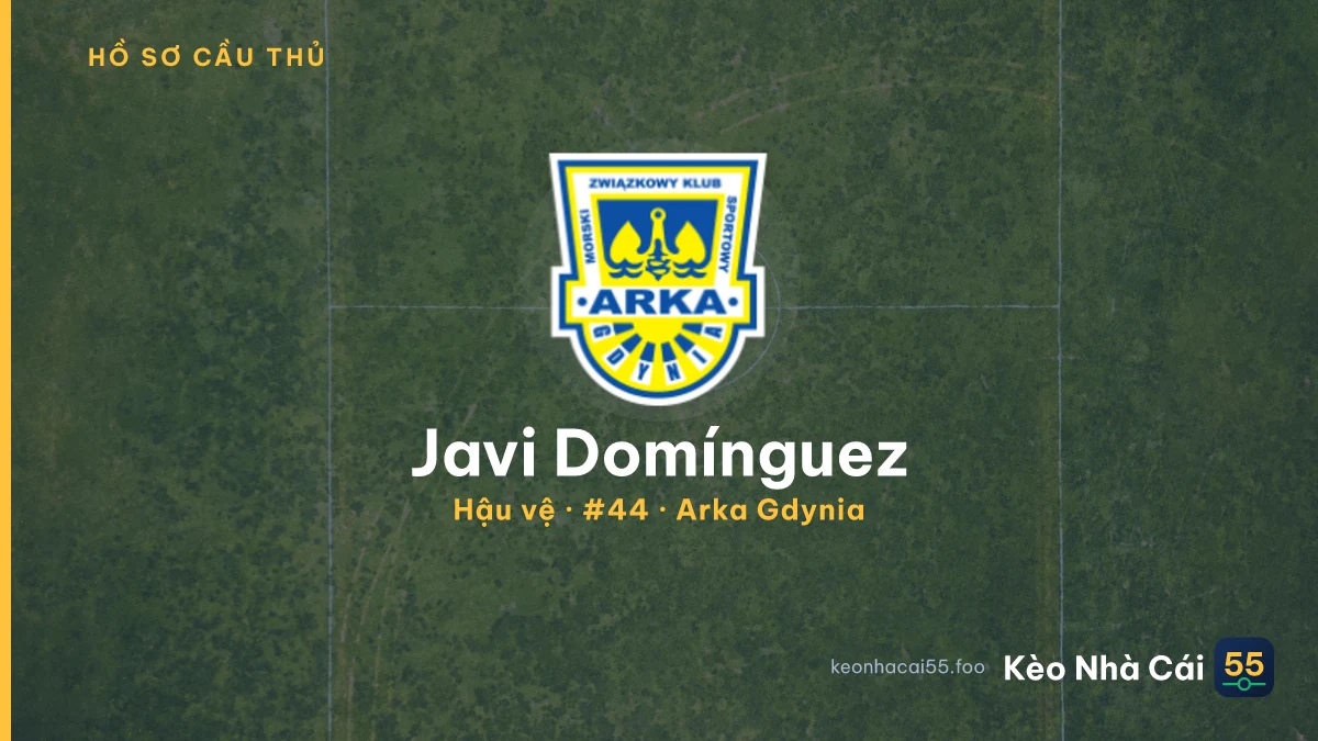 Javi Domínguez — Arka Gdynia