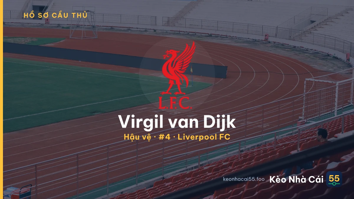 Virgil van Dijk — Liverpool FC