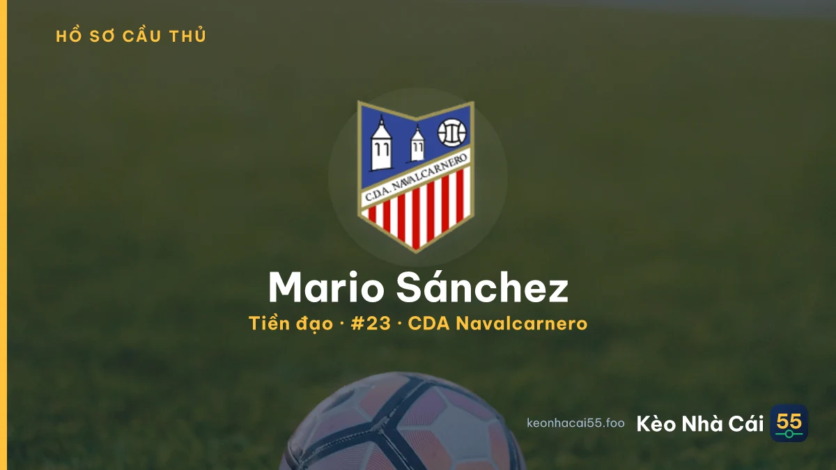 Mario Sánchez — CDA Navalcarnero