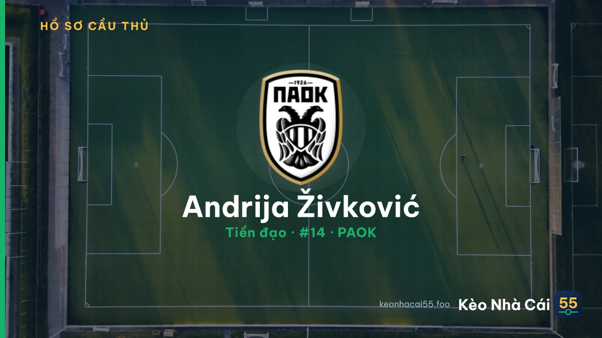 Andrija Živković — PAOK