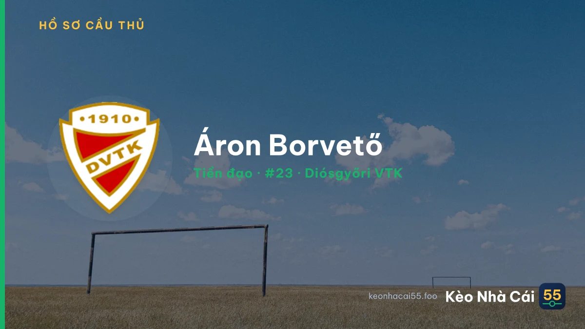 Áron Borvető — Diósgyőri VTK