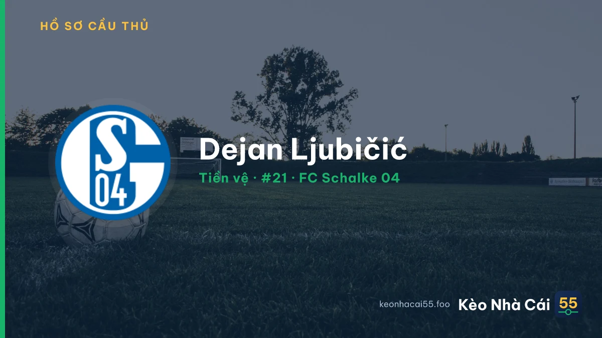 Dejan Ljubičić — FC Schalke 04