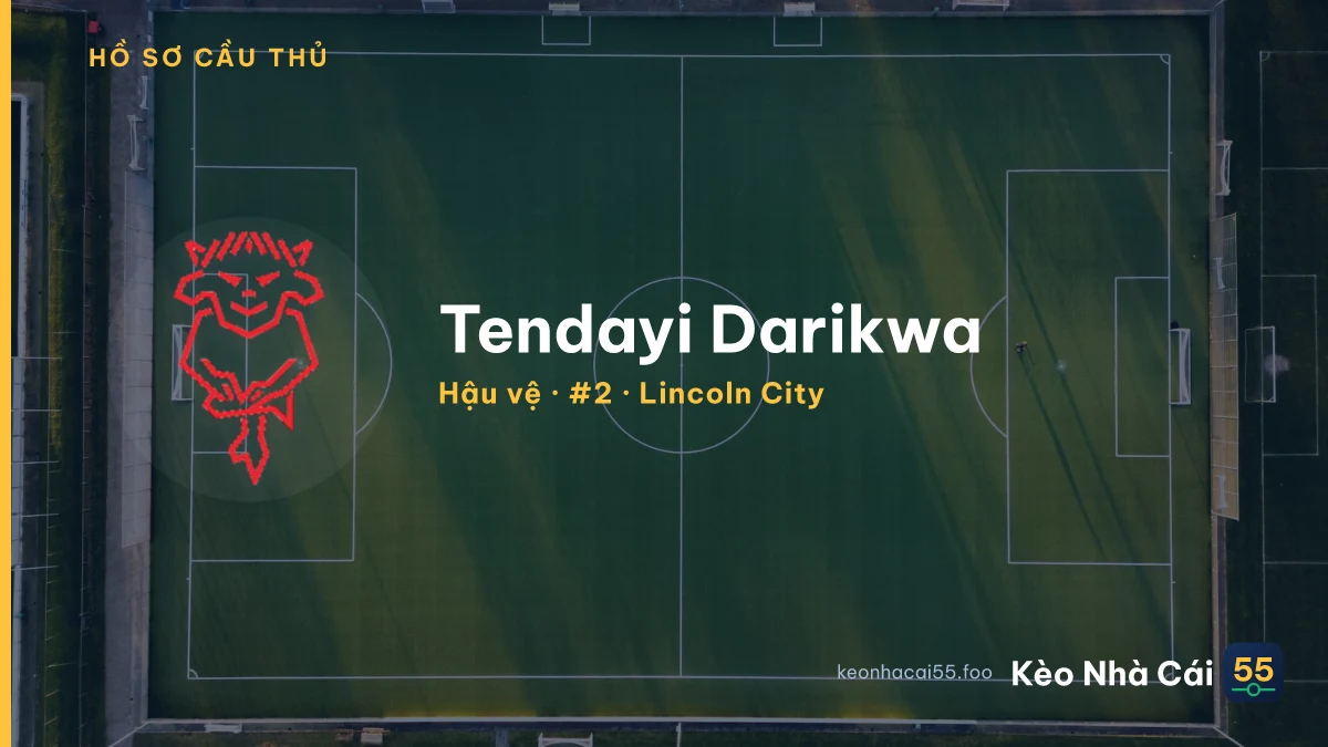 Tendayi Darikwa — Lincoln City