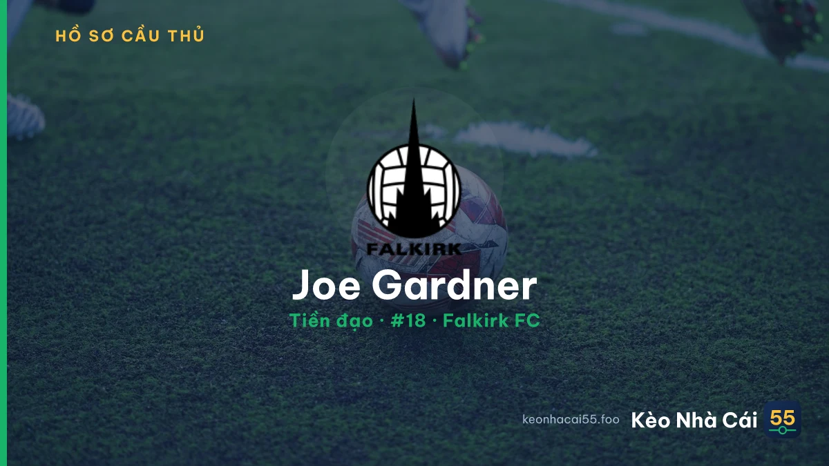 Joe Gardner — Falkirk FC