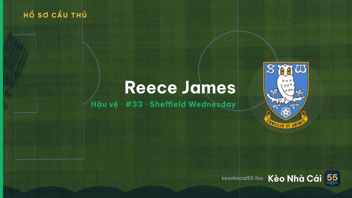 Reece James — Sheffield Wednesday