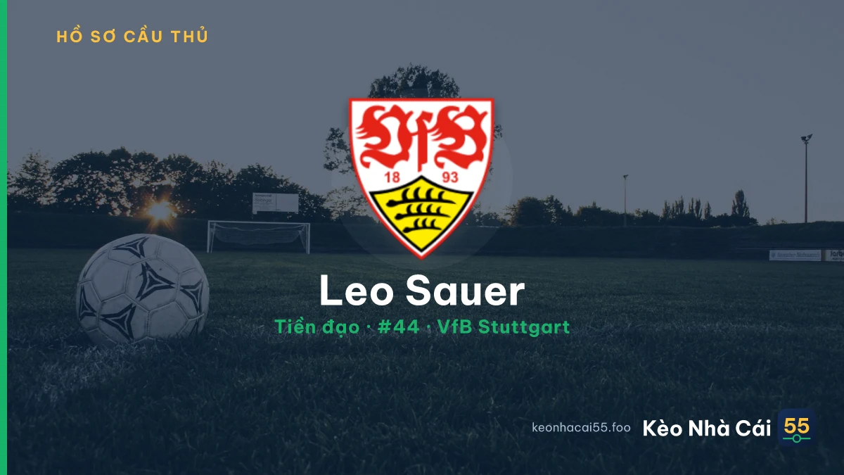 Leo Sauer — VfB Stuttgart