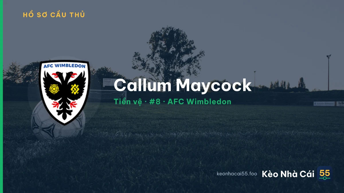 Callum Maycock — AFC Wimbledon