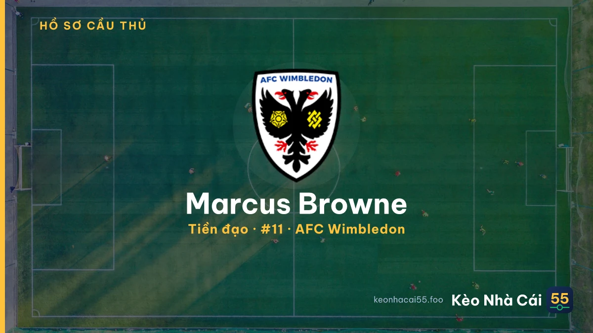 Marcus Browne — AFC Wimbledon