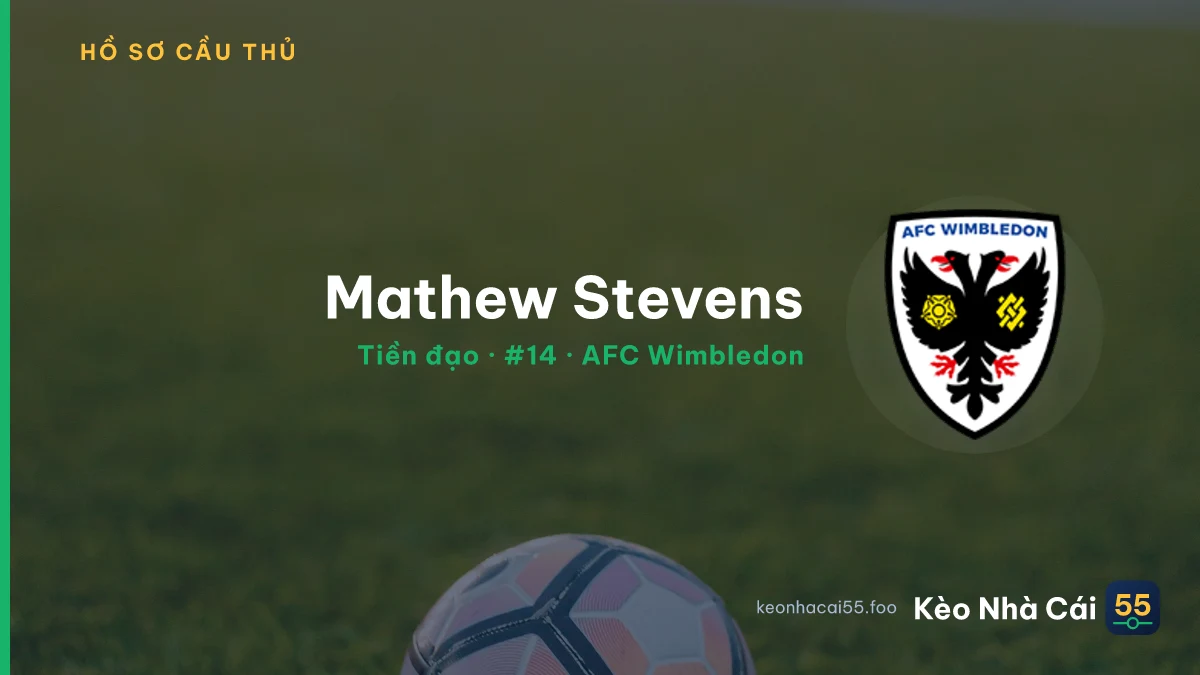 Mathew Stevens — AFC Wimbledon