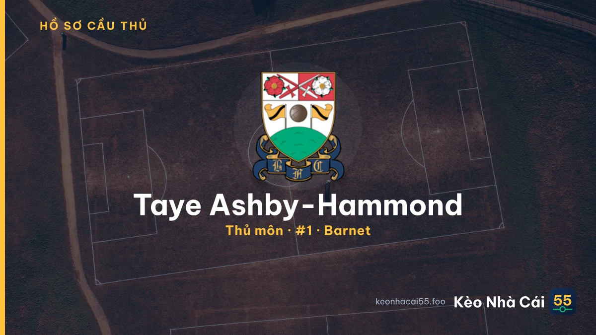 Taye Ashby-Hammond — Barnet