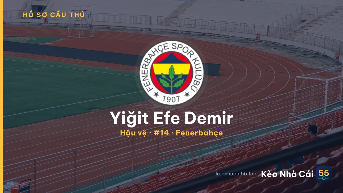 Yiğit Efe Demir — Fenerbahçe