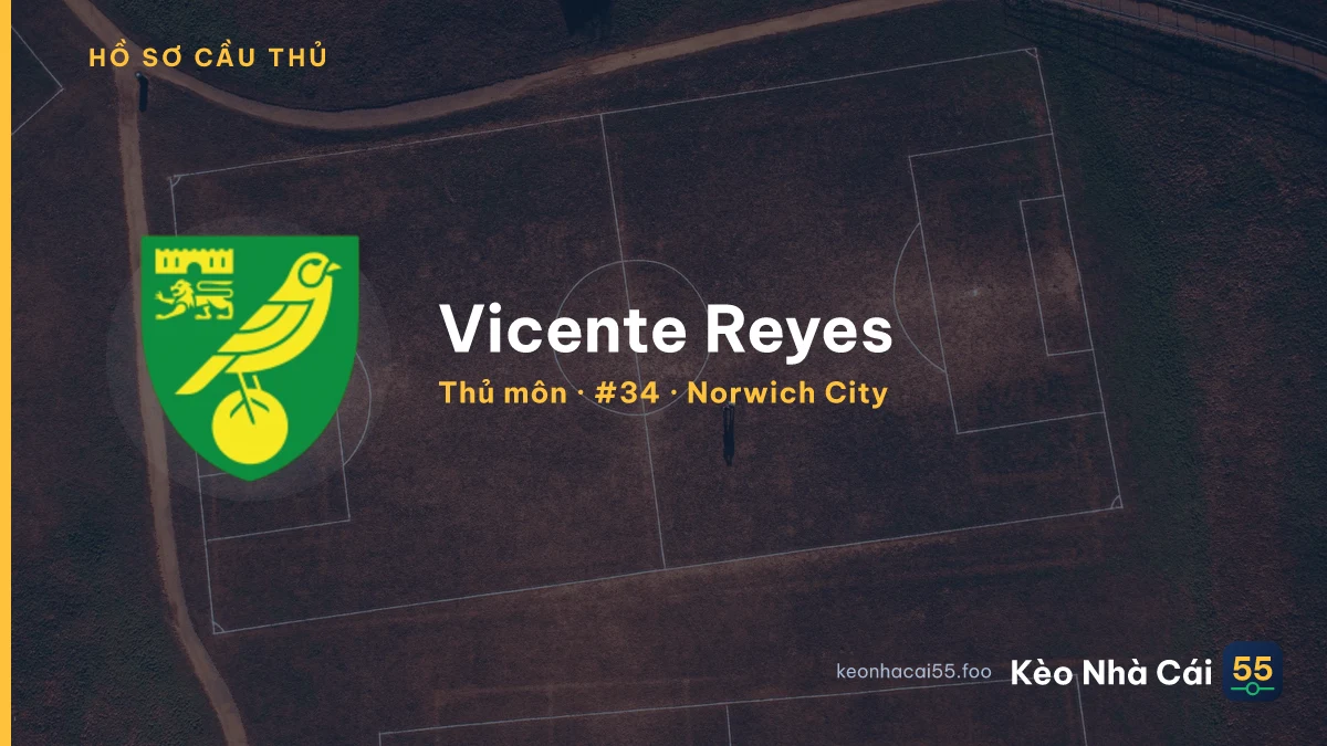 Vicente Reyes — Norwich City