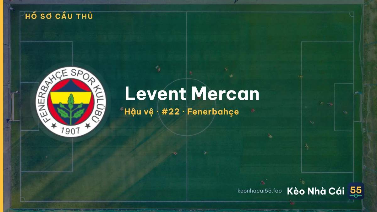 Levent Mercan — Fenerbahçe