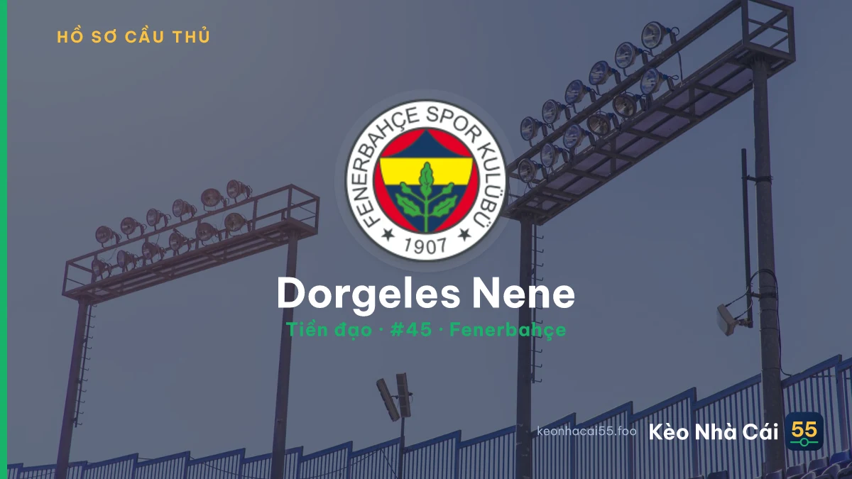 Dorgeles Nene — Fenerbahçe