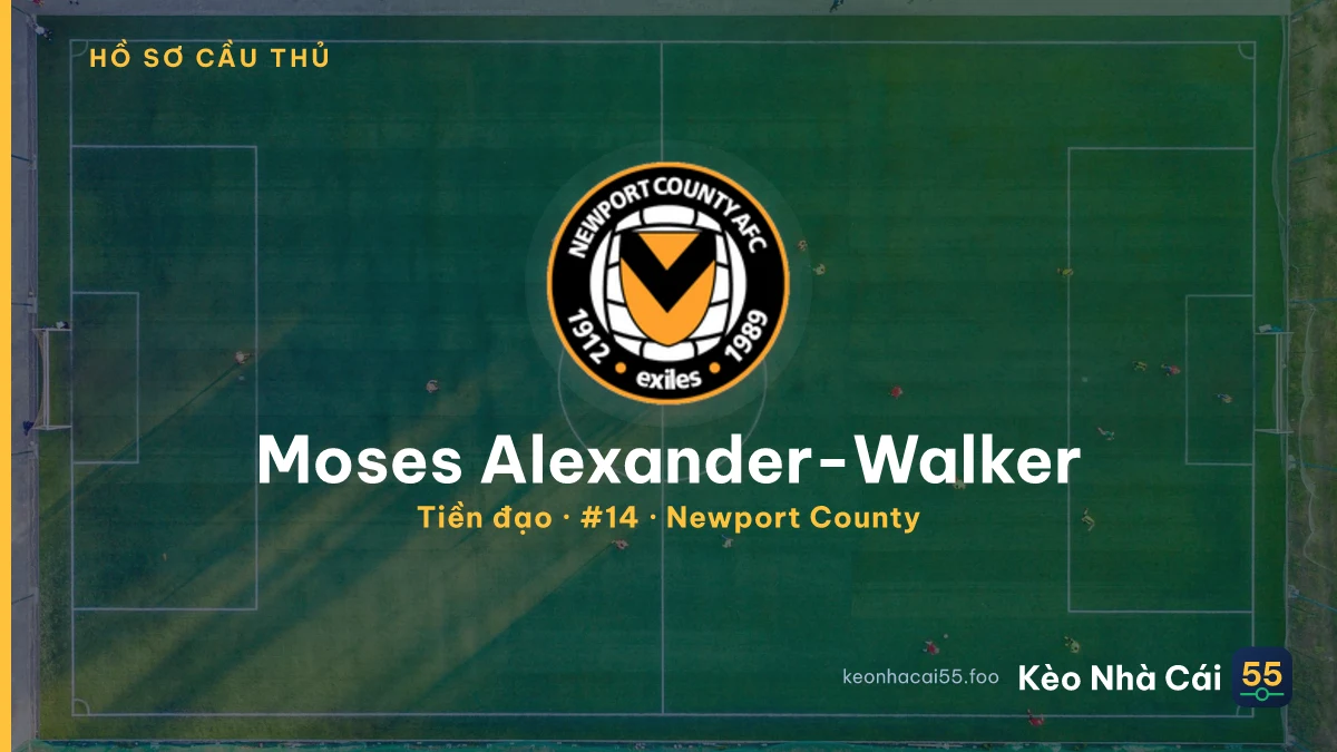 Moses Alexander-Walker — Newport County
