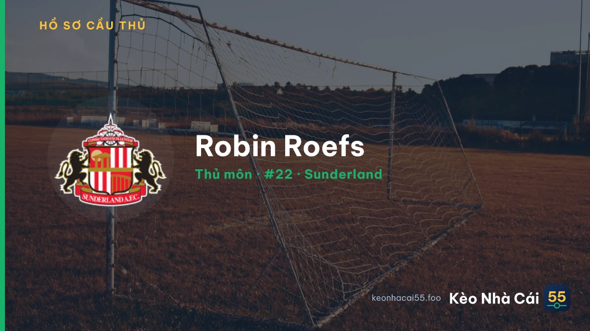 Robin Roefs — Sunderland
