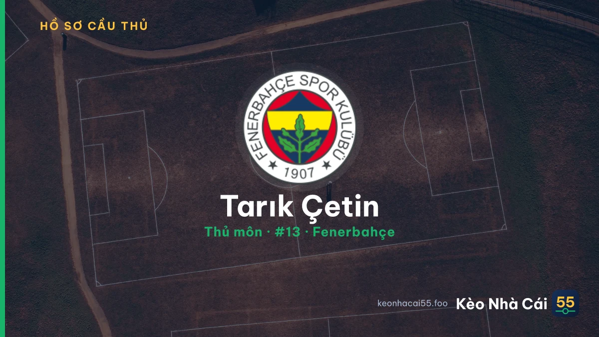 Tarık Çetin — Fenerbahçe