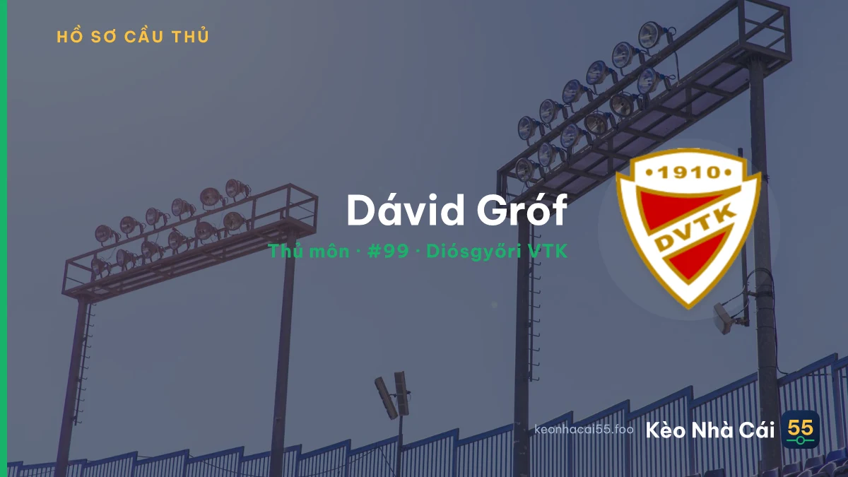 Dávid Gróf — Diósgyőri VTK