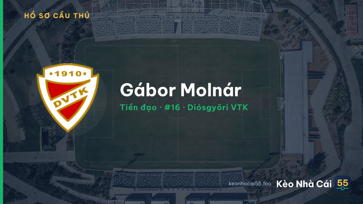 Gábor Molnár — Diósgyőri VTK