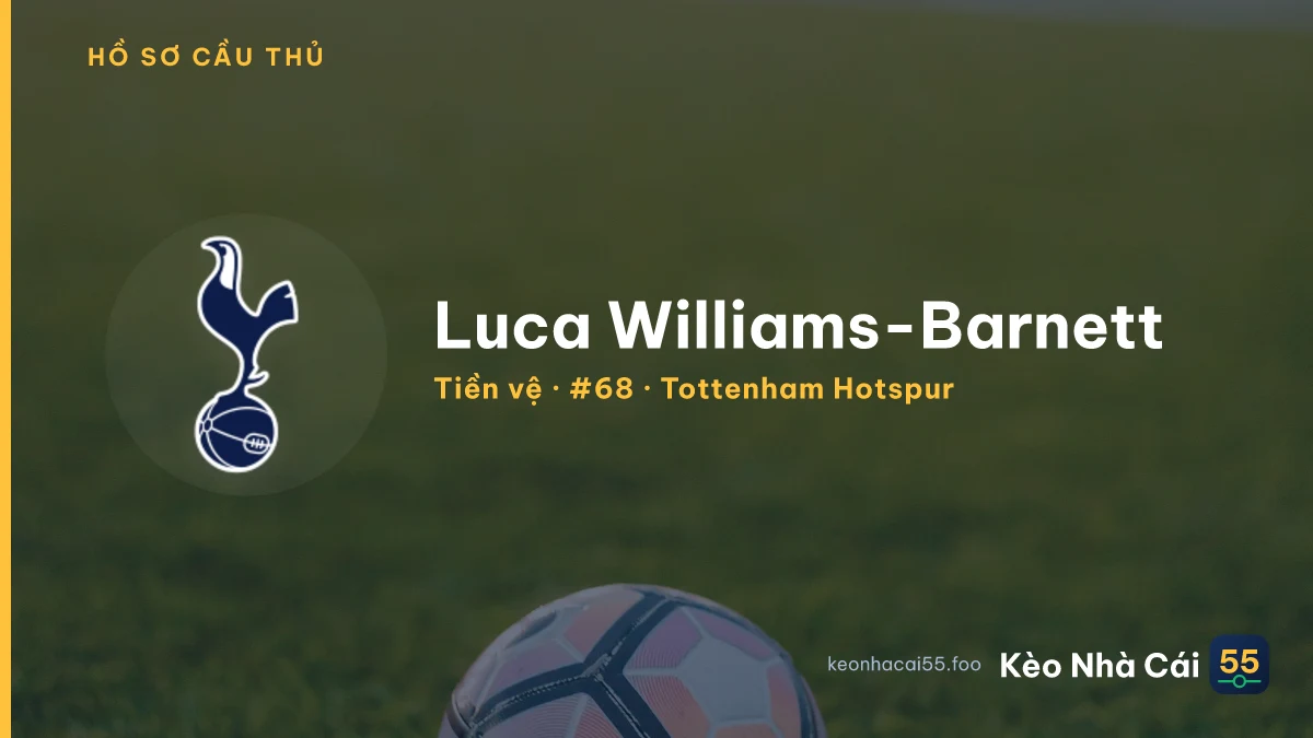 Luca Williams-Barnett — Tottenham Hotspur