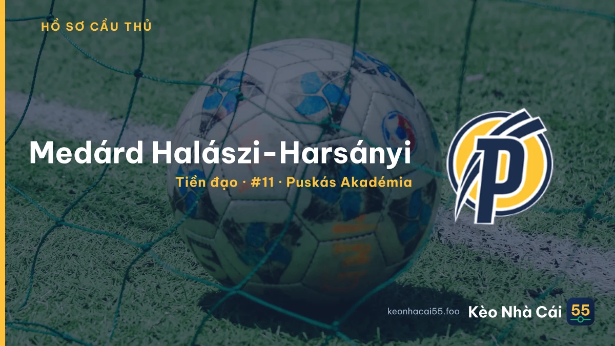 Medárd Halászi-Harsányi — Puskás Akadémia