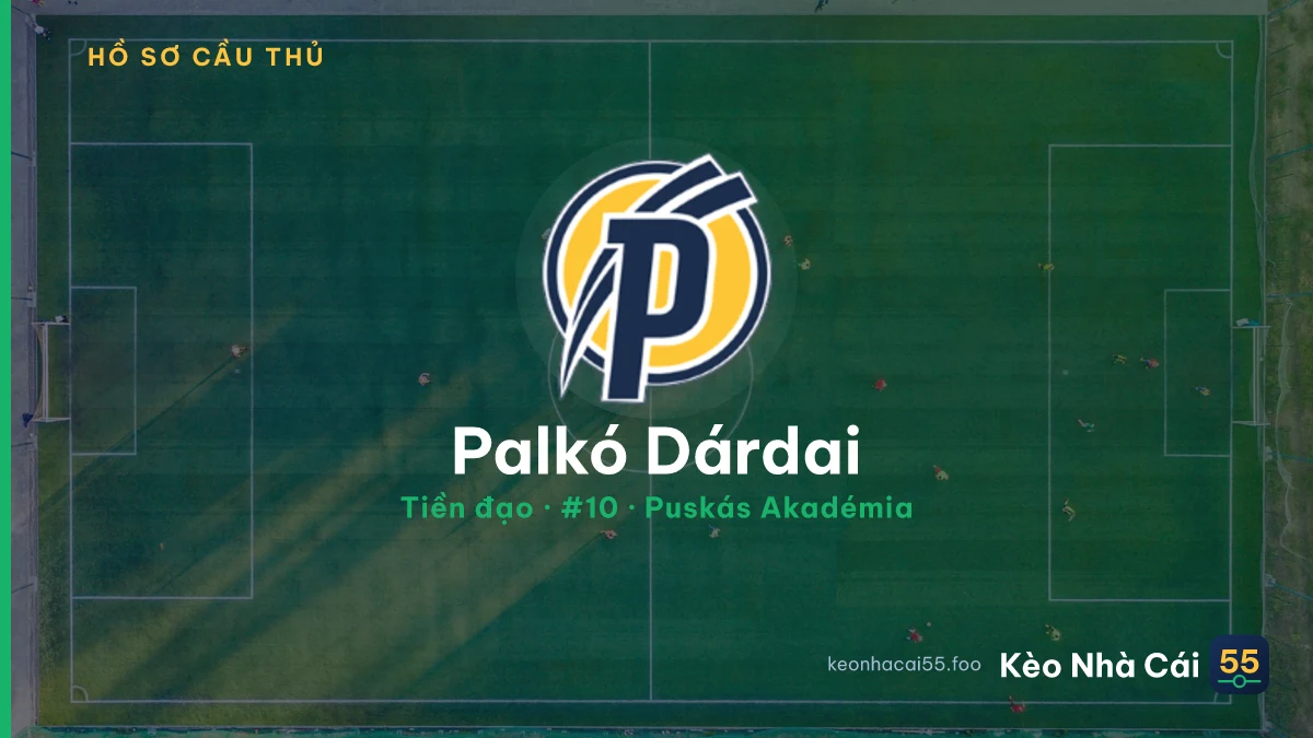 Palkó Dárdai — Puskás Akadémia