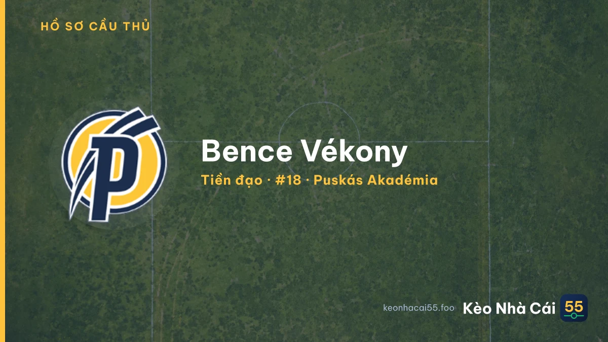 Bence Vékony — Puskás Akadémia