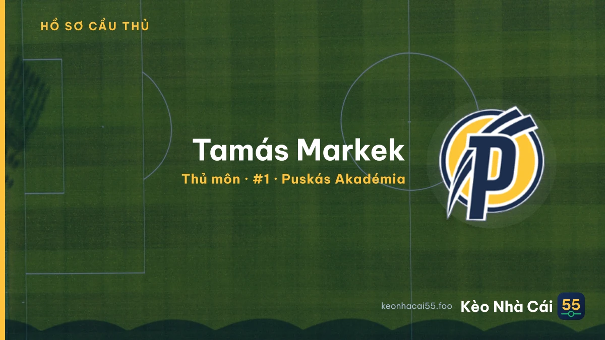 Tamás Markek — Puskás Akadémia