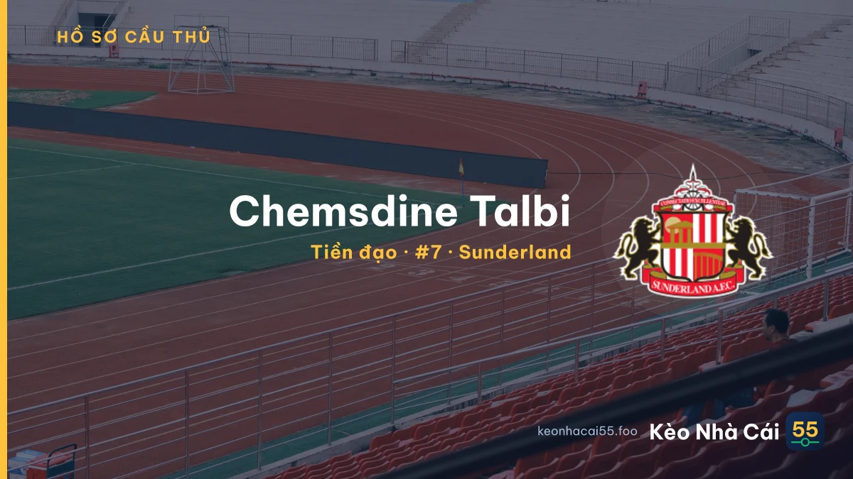 Chemsdine Talbi — Sunderland
