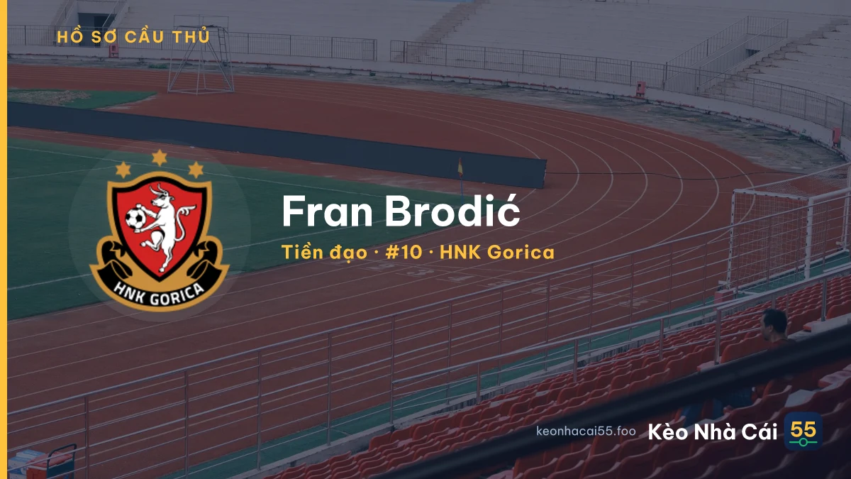 Fran Brodić — HNK Gorica