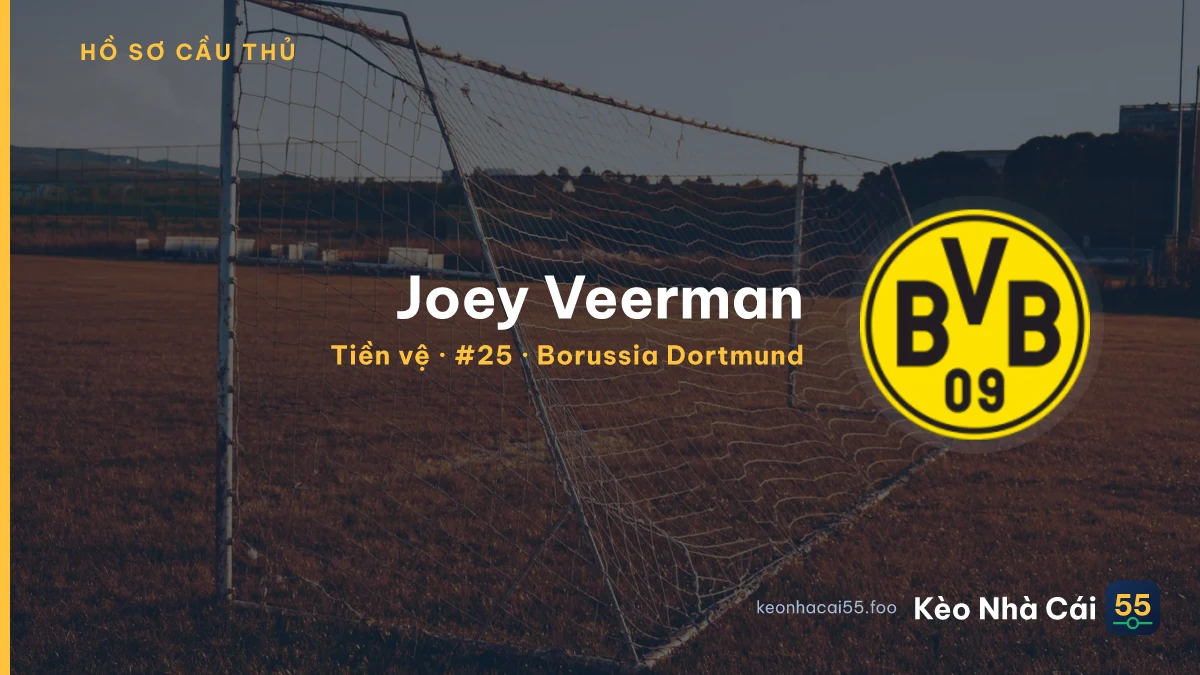 Joey Veerman — Borussia Dortmund